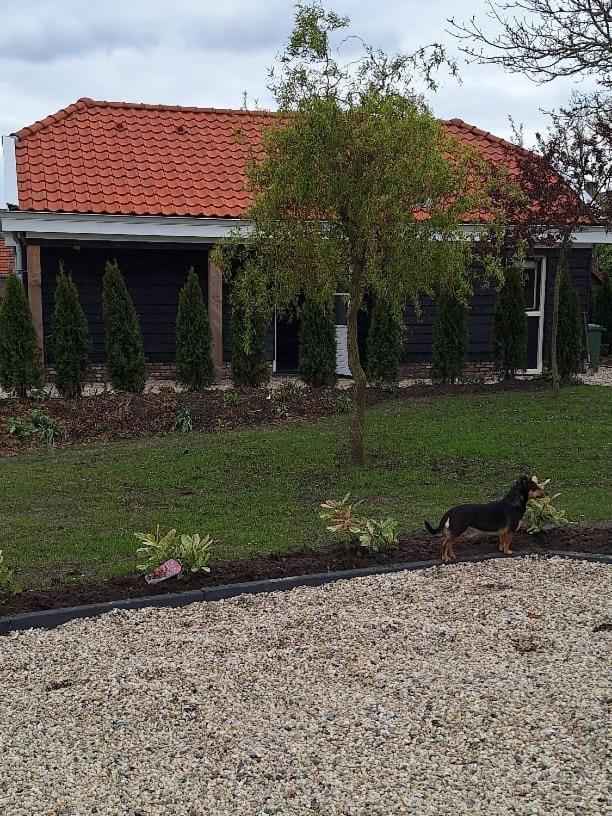Gastenhuis Amstelmeerzicht. Westerland Dış mekan fotoğraf
